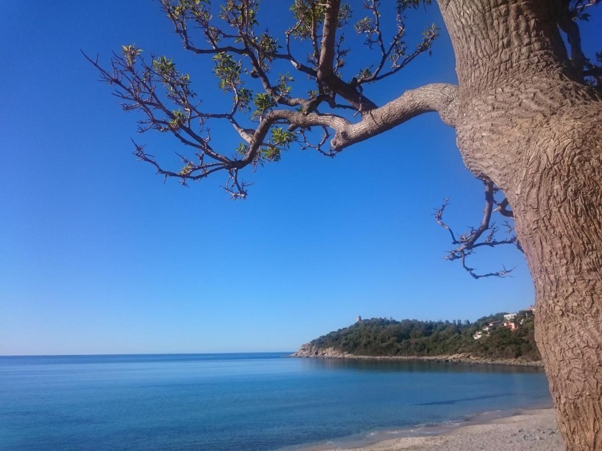 아르바탁스 Un Po Di Relax A Pochi Passi Dal Mare! 아파트 외부 사진
