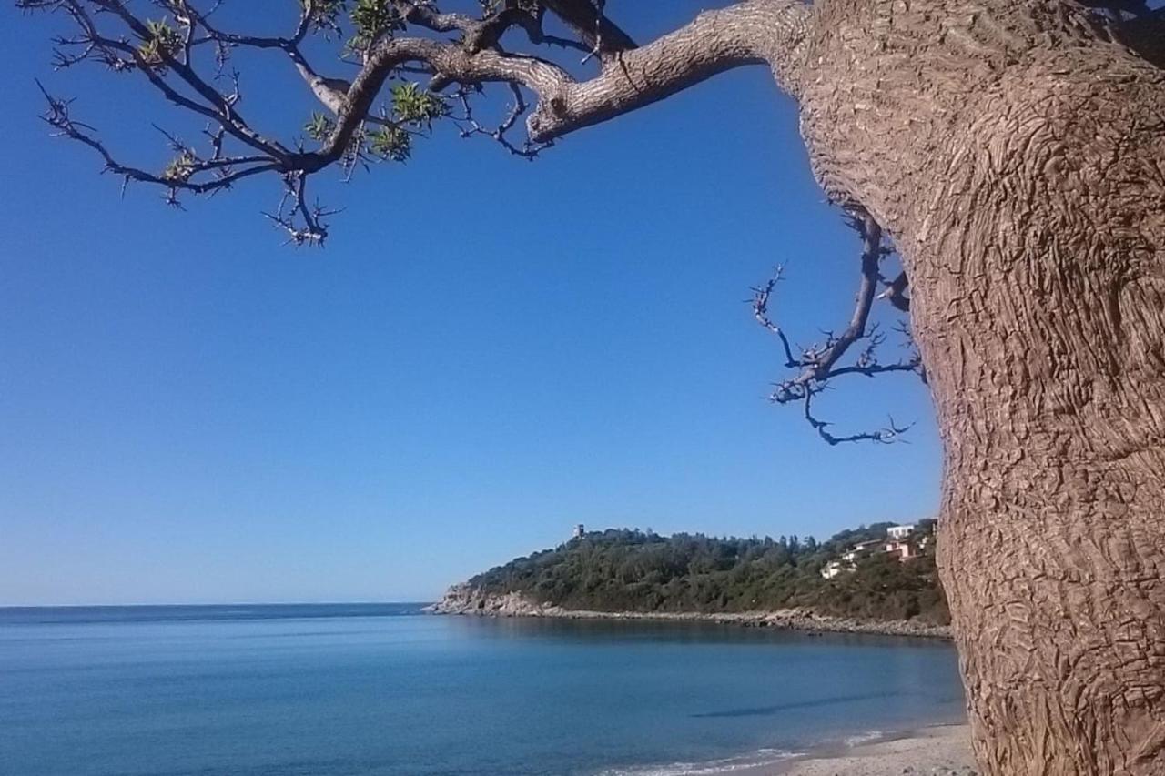 아르바탁스 Un Po Di Relax A Pochi Passi Dal Mare! 아파트 외부 사진